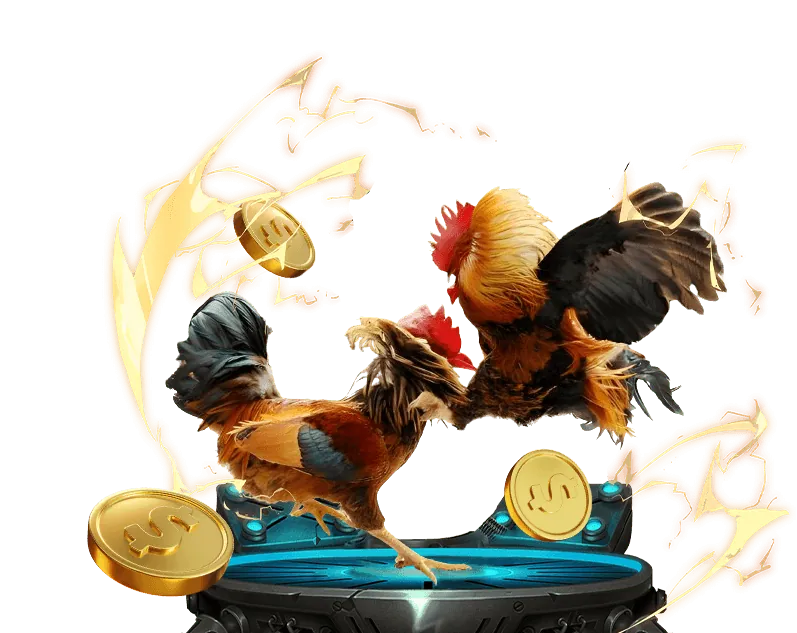 Hình ảnh minh họa các loại kèo cược đá gà